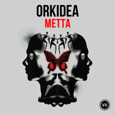 Orkidea Metta