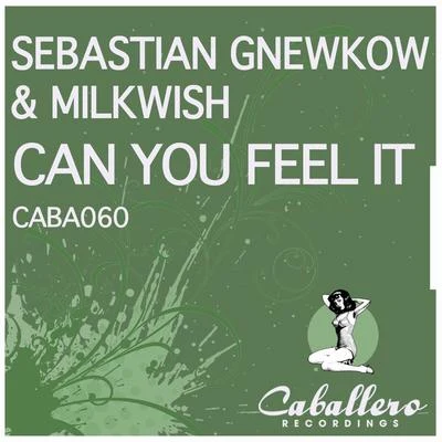 Milkwish/Sebastian Gnewkow Can You Feel It