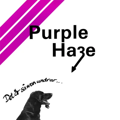 Purple Haze Det Är Så Man Undrar