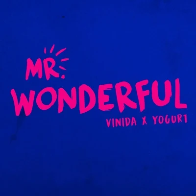 万妮达 (Vinida) Mr. Wonderful