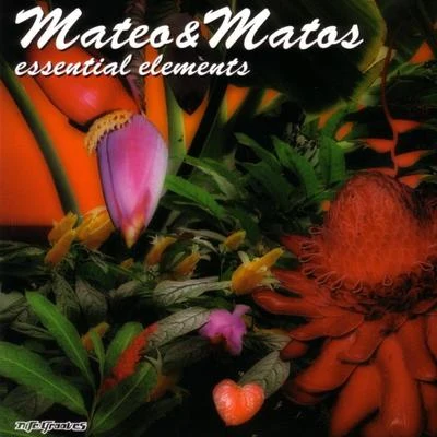 Mateo & Matos Essential Elements