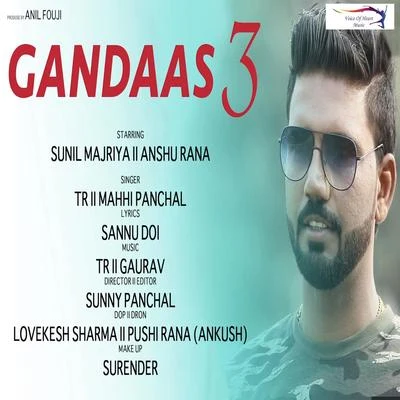 T.R. Gandaas 3