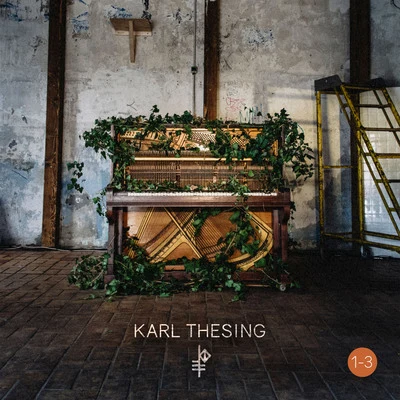 Karl Thesing Ember