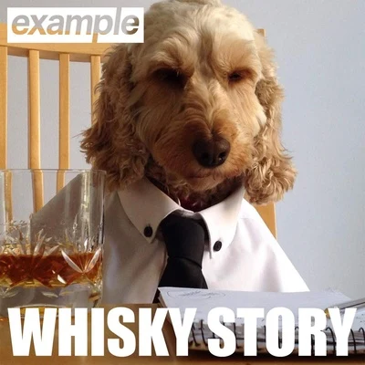 Example Whisky Story