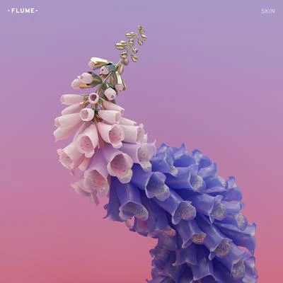 Flume Wall ****