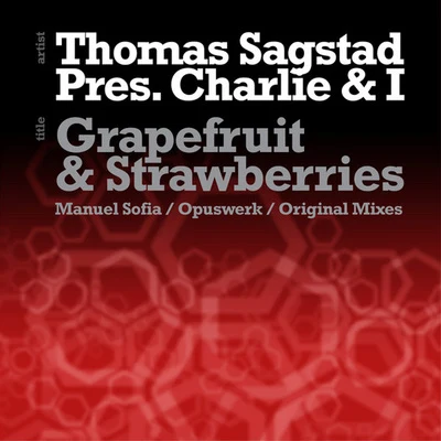 Thomas Sagstad Grapefruit and Strawberries