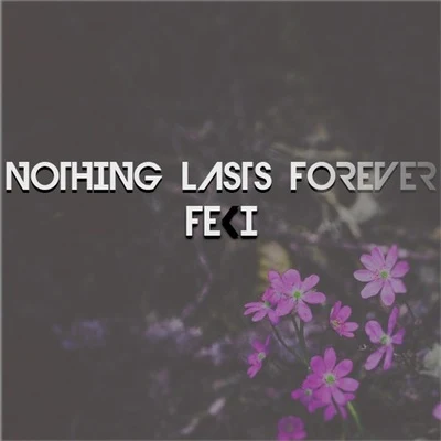 Feki Nothing Lasts Forever