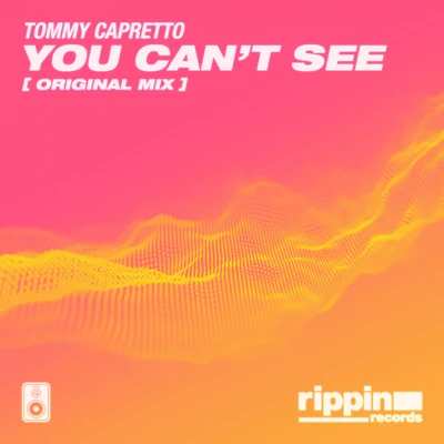 Tommy Capretto You Cant See