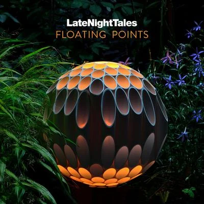 Floating Points Late Night Tales: Floating Points