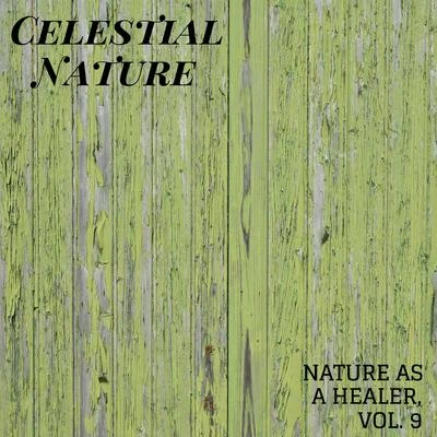 Nature Sounds/Rain Sounds For Sleep/White Noise Meditation Celestial Nature - Nature As A Healer, Vol. 9