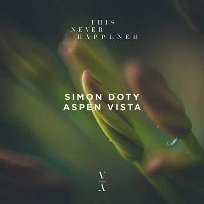 Simon Doty Aspen Vista