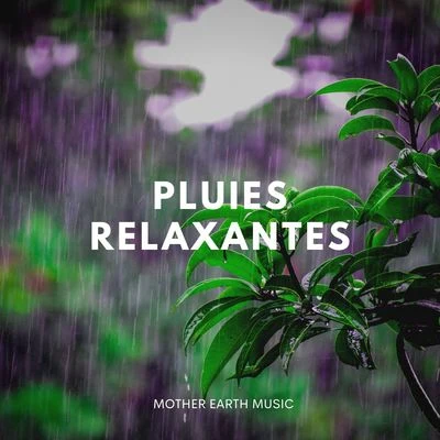 Nature Sounds for Sleep and Relaxation/Zen Méditation Ambiance/Rain Sounds & Nature Sounds/Nature Sounds Nature Music Pluies Relaxantes