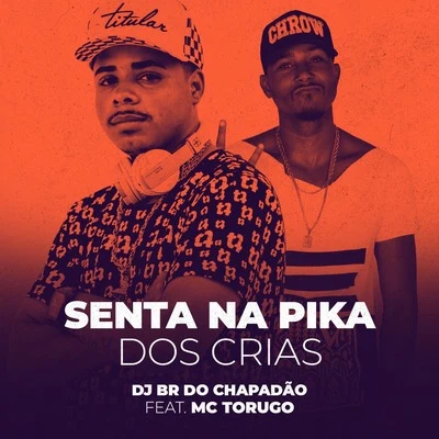 Mc Torugo/DJ BR do Chapadão Senta na Pika dos Crias