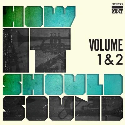 Damu the Fudgemunk How It Should Sound - Volume 1 & 2