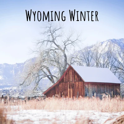 Rain Sounds/Baby Lullaby/Tranquility Spree Wyoming Winter