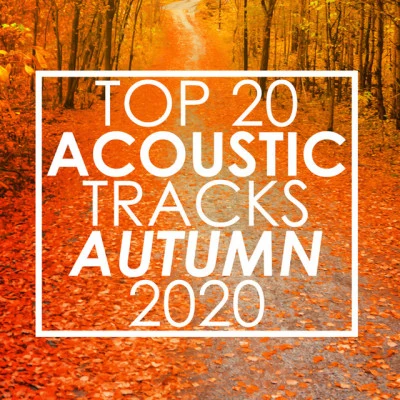 Guitar Tribute Players Top 20 Acoustic Tracks Autumn 2020 (Instrumental)