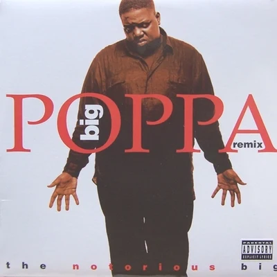 The Notorious B.I.G. Big Poppa (Remix)