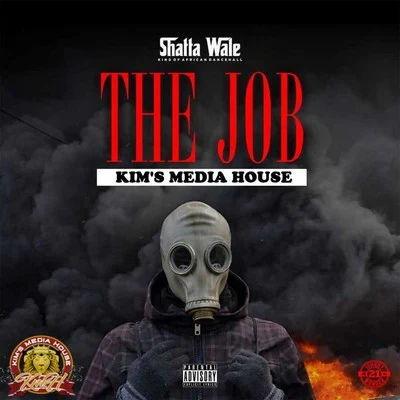 Shatta Wale The Job