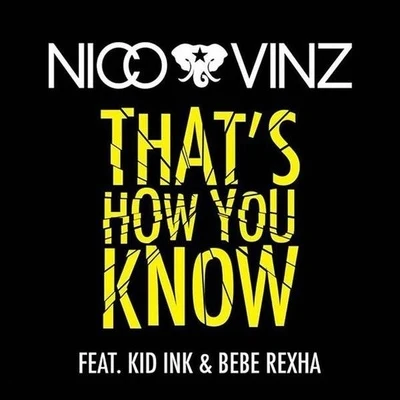 Nico & Vinz Thats How You Know