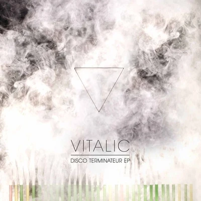 Vitalic Disco Terminateur