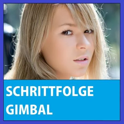 Gimbal Schrittfolge