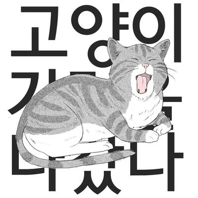 FatDoo 고양이가 집을 나갔다