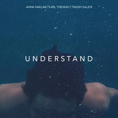 Tinush Salehi/Karl Thesing/Anna Naklab Understand