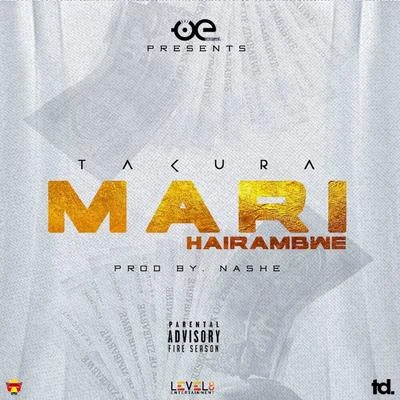 Takura Mari Hairambwe