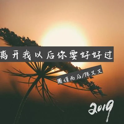 陈又又/圈谨而后 离开我以后你要好好过