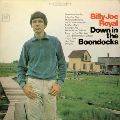 Billy Joe Royal Down in the Boondocks