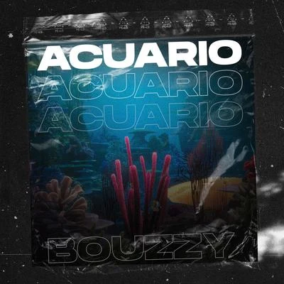 Bouzzy Acuario