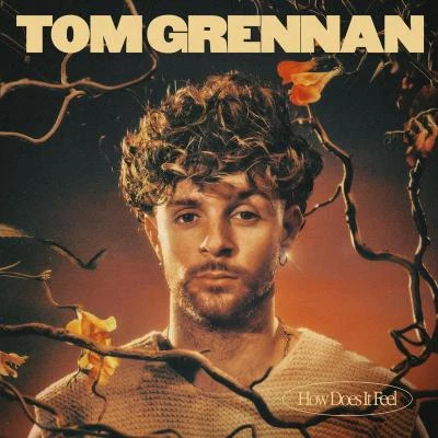 Tom Grennan How Does It Feel