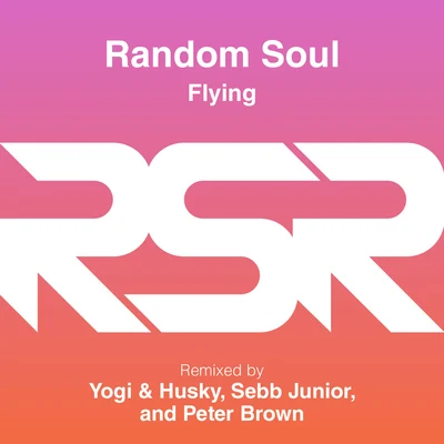 Random Soul Flying