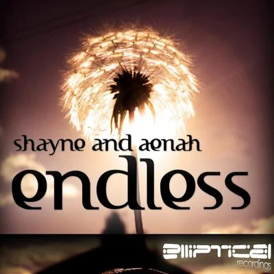 Shayne Endless