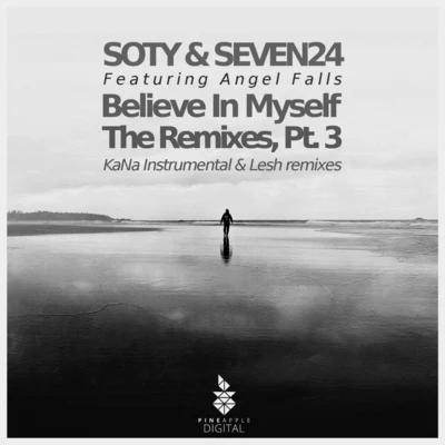 Angel Falls/Seven24/SOTY Believe in Myself, the Remixes, Pt. 3