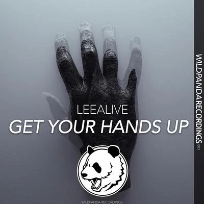 LeeAlive GET YOUR HANDS UP(Original Mix)