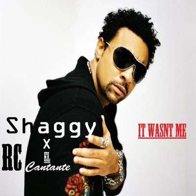 Shaggy/Ricardo Ducent/Tenchi/Moss Kena/Embody It Wasnt Me