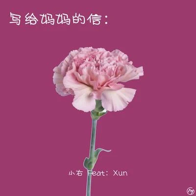 小右/Xun（易硕成） 写给妈妈的信