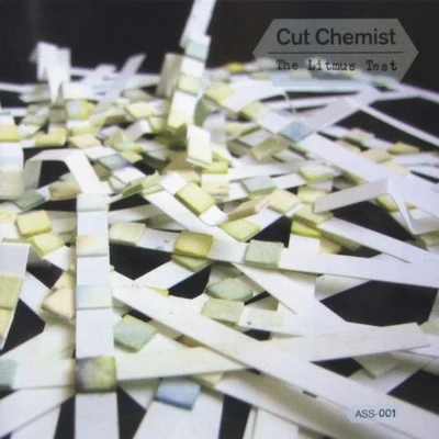 Cut Chemist The Litmus Test