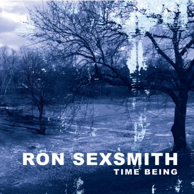 Ron Sexsmith Time Being