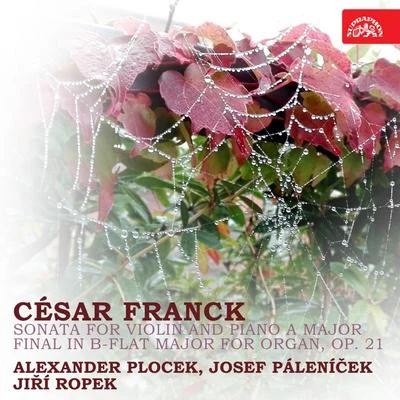 Alexander Plocek Franck: Sonata for Violin and Piano A Major, Final in B Flat Major for Organ, Op. 21