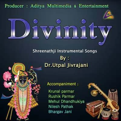 Traditional Divinity-Shreenathji Instrumental Songs