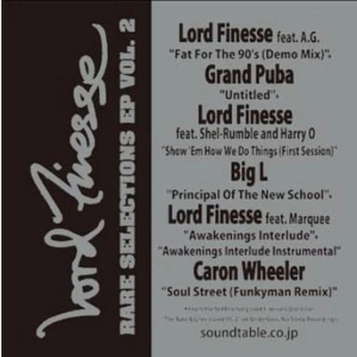 Lord Finesse Rare Selections EP Vol. 2