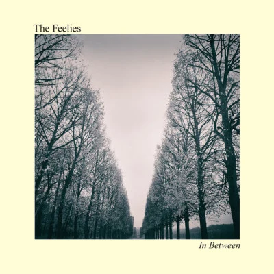 The Feelies In Between