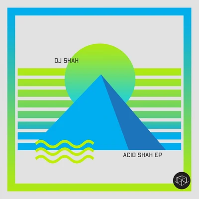 DJ Shah Acid Shah