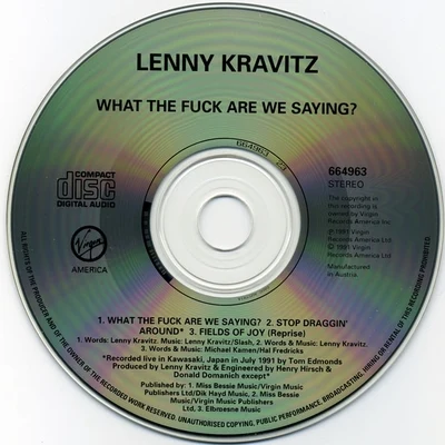 Lenny Kravitz What The **** Are We Saying?