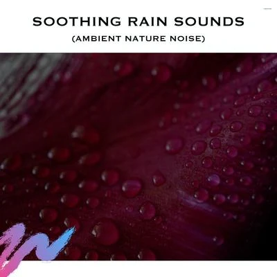 Rain Sleeping Sounds/White Noise Radiance/White Noise Rain Soothing Rain Sounds (Ambient Nature Noise)