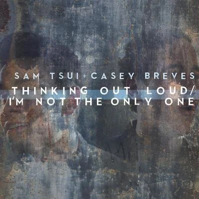 Sam Tsui/Casey Breves Thinking out LoudI'm Not the Only One