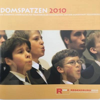 Roland Buchner/Regensburger Domspatzen Domspatzen 2010 - Die schönste Chormusik der Regensburger Domspatzen aus der Musikstadt Regensburg