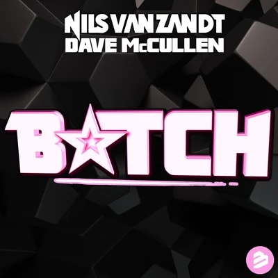 Nils van Zandt ***** (feat. Dave McCullen)